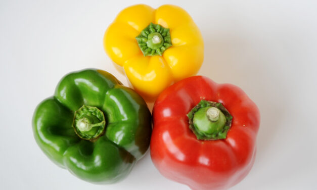 CQU fights food waste