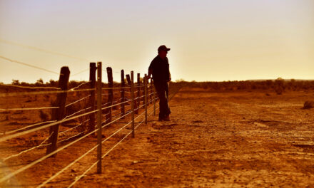 Lives on the line