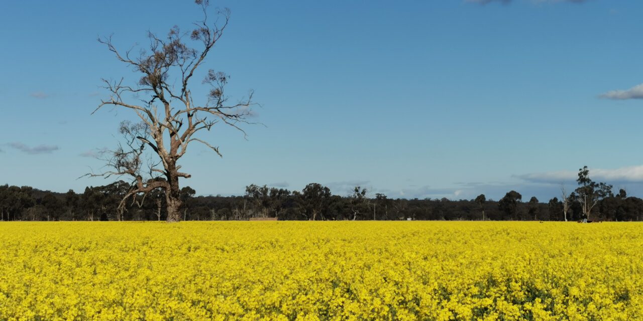 Crop spins tourism gold