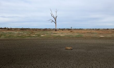 Financial relief for hard-hit farmers