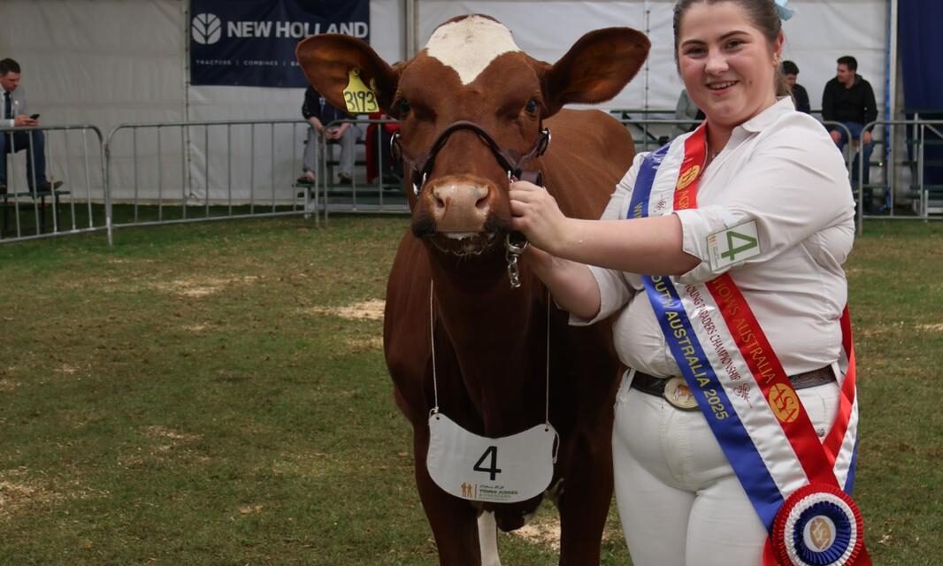 Sienna triumphs at Royal Adelaide Show