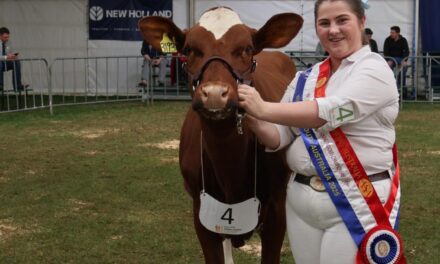 Sienna triumphs at Royal Adelaide Show