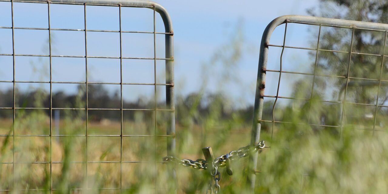 Mixed outlook for year ahead