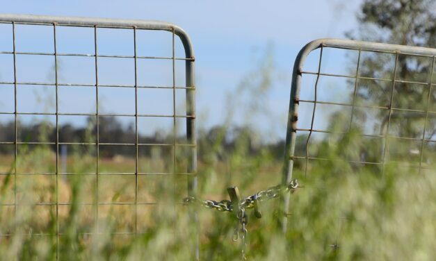 Mixed outlook for year ahead