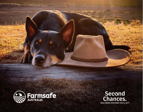 WFI Insurance releases farm accident insights