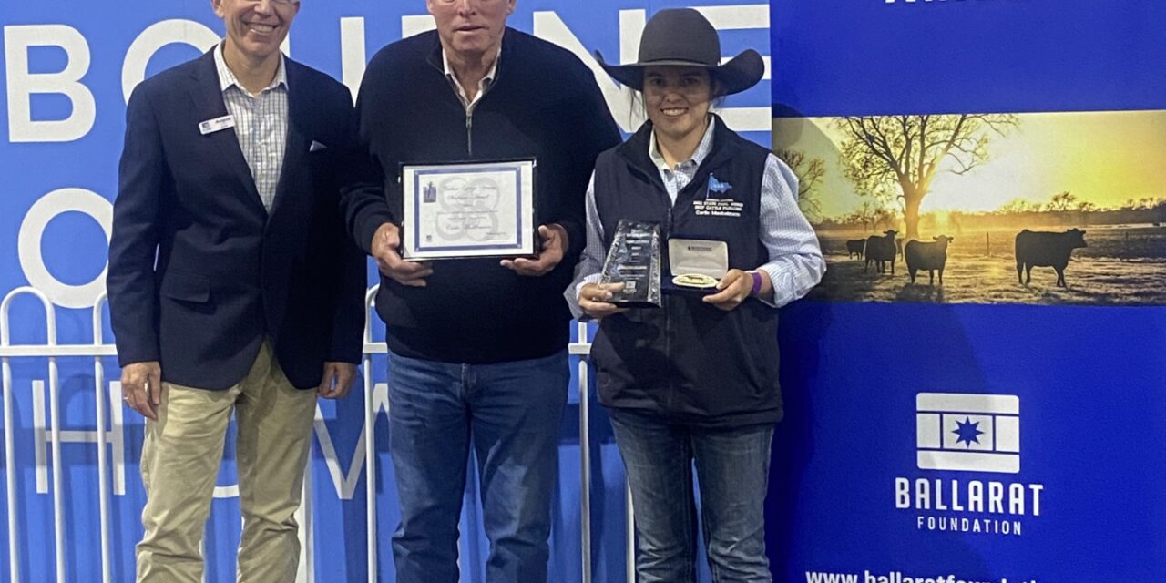 Carlie is a rising star