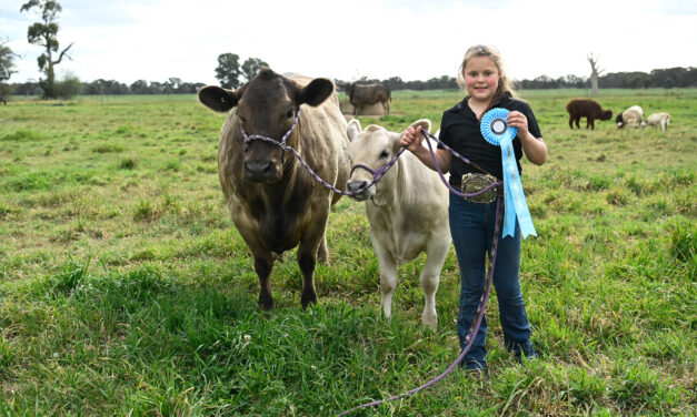 Ten-year-old takes top honours at Melbourne Royal Show