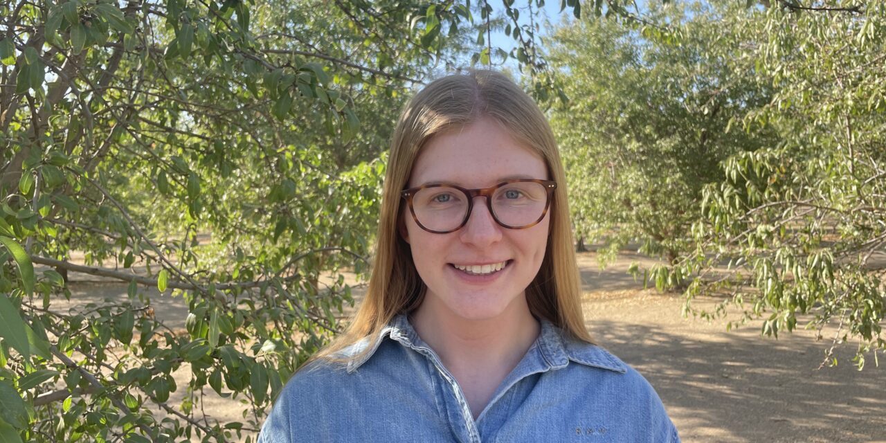 Bright outlook for table grapes