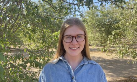 Bright outlook for table grapes