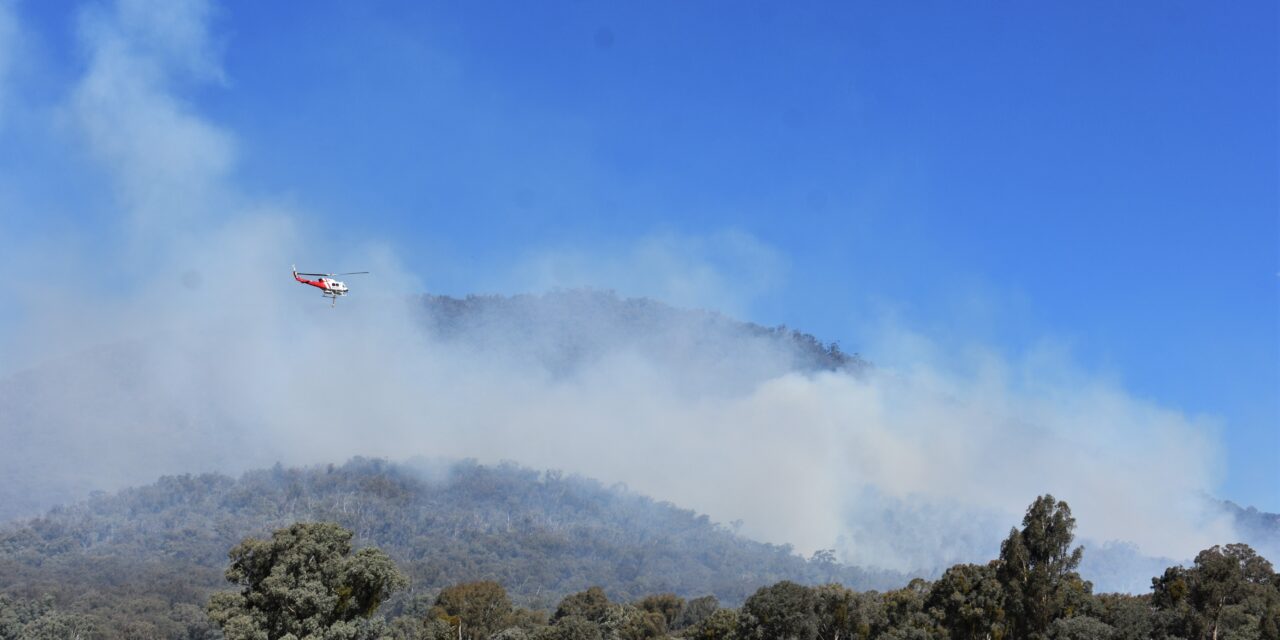 Research uncovers bushfires’ critical hour