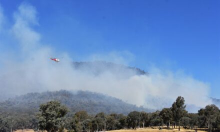 Research uncovers bushfires’ critical hour