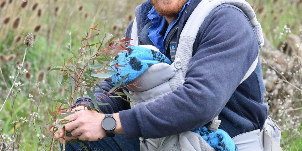 Program helps farmers cope with conditions