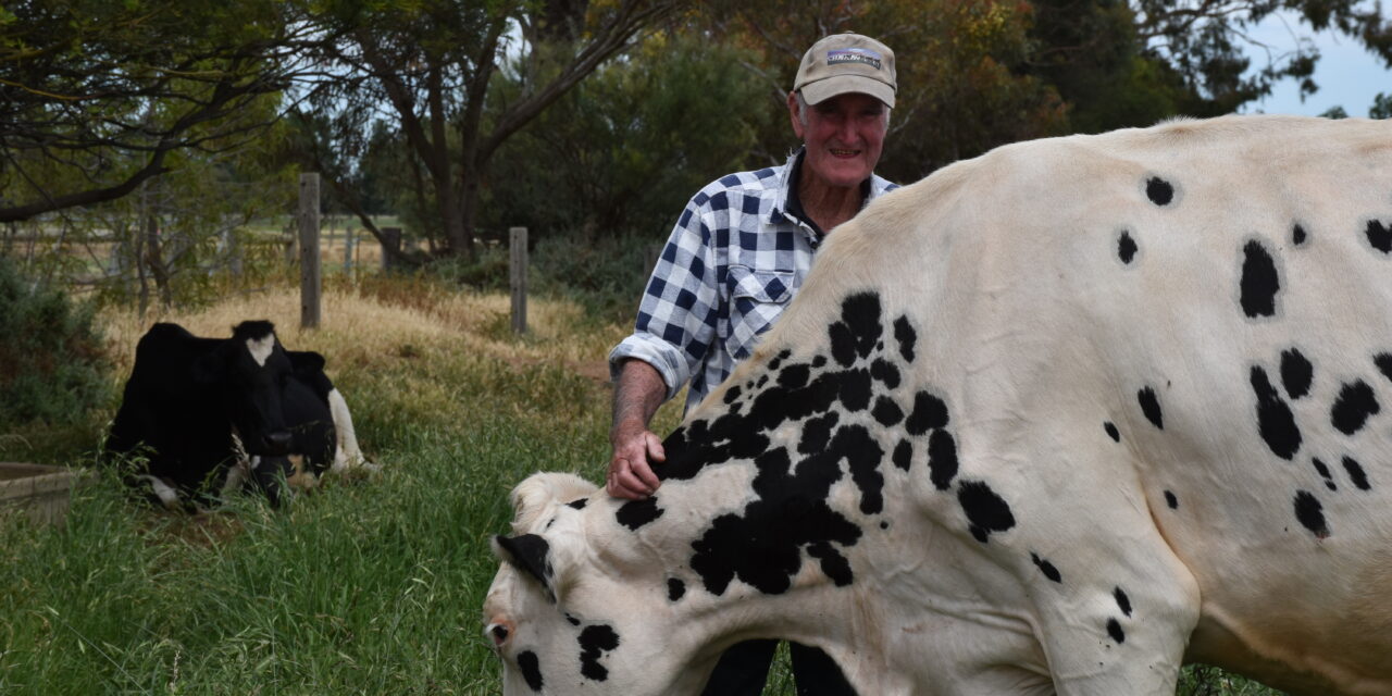 Jeff’s happiest among his cows