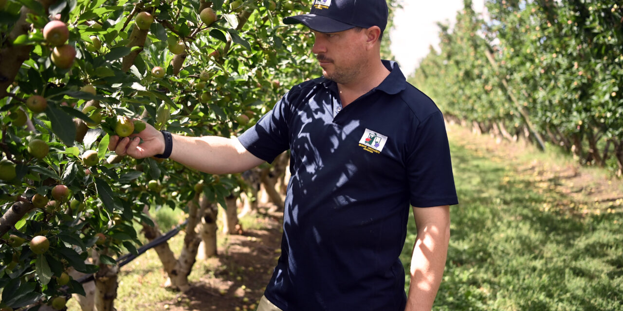 Growers gear up for successful 2026 harvest