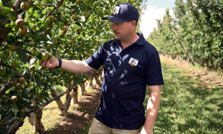 Growers gear up for successful 2026 harvest