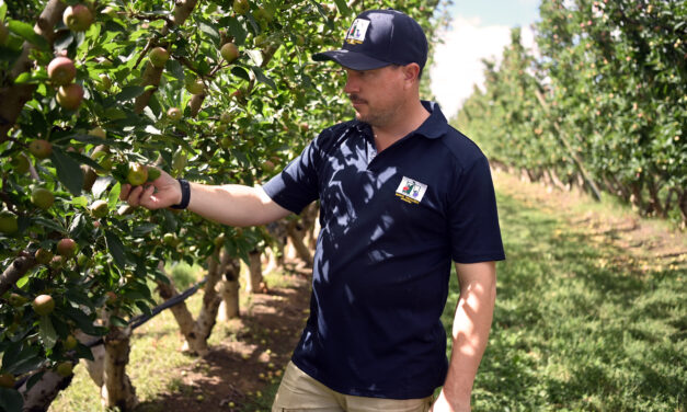 Growers gear up for successful 2026 harvest