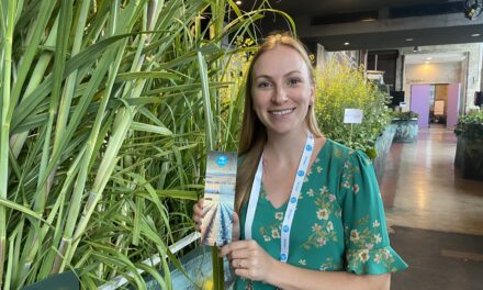 Byte by byte: how AI is reshaping agriculture