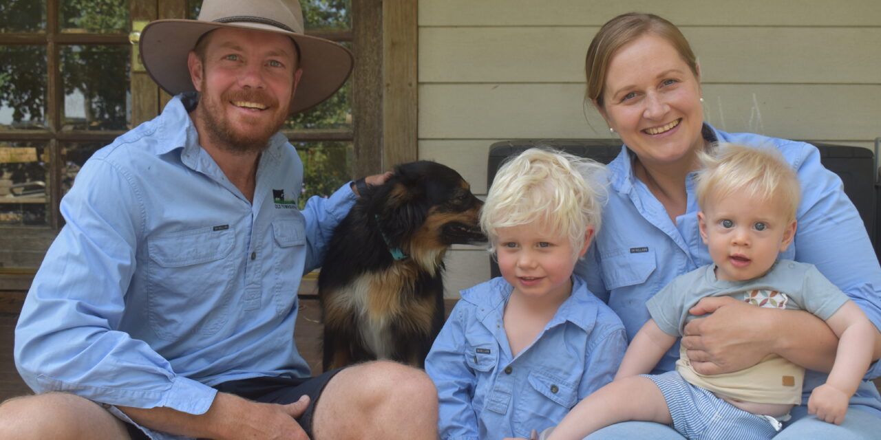 Vets build regenerative beef future