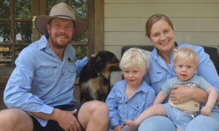 Vets build regenerative beef future