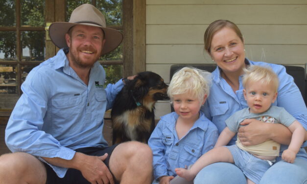 Vets build regenerative beef future